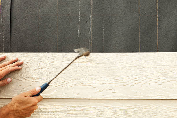 Best Siding Painting and Refinishing  in Barker Heights, NC